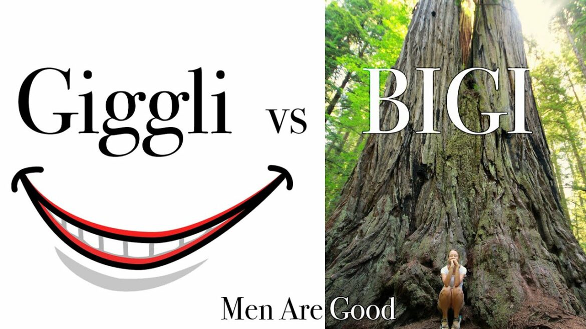 Giggli vs BIGI –  Are Women Disadvantaged in Developed Nations?